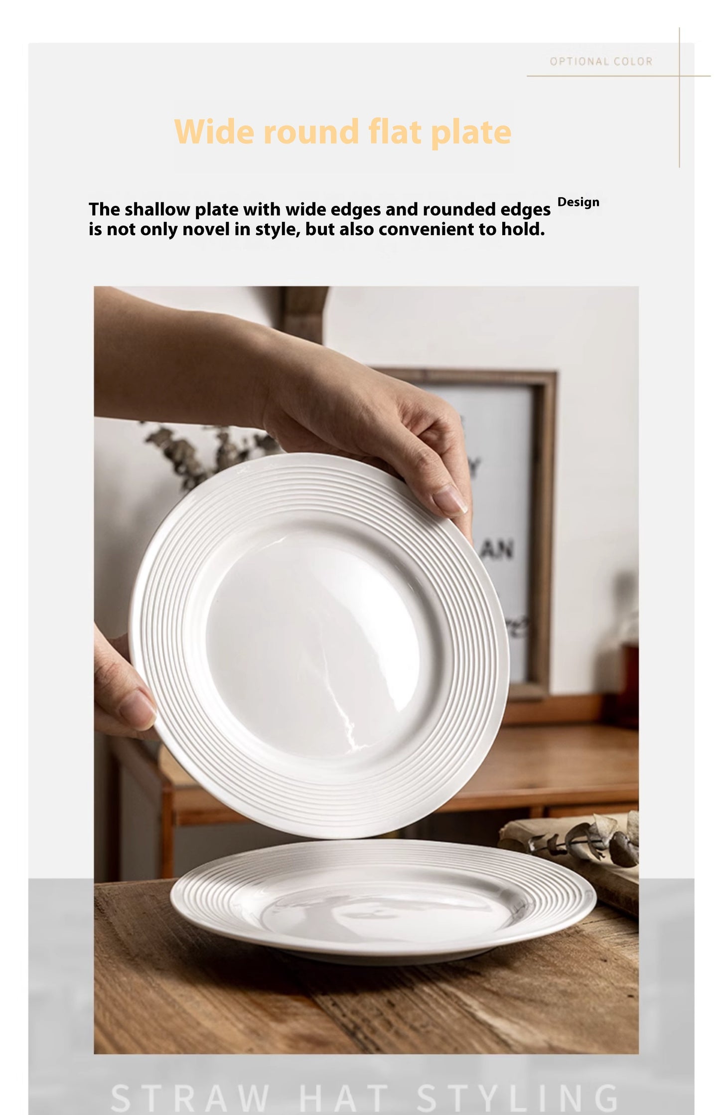 Simple Classic Ceramic Flat Plate Dish