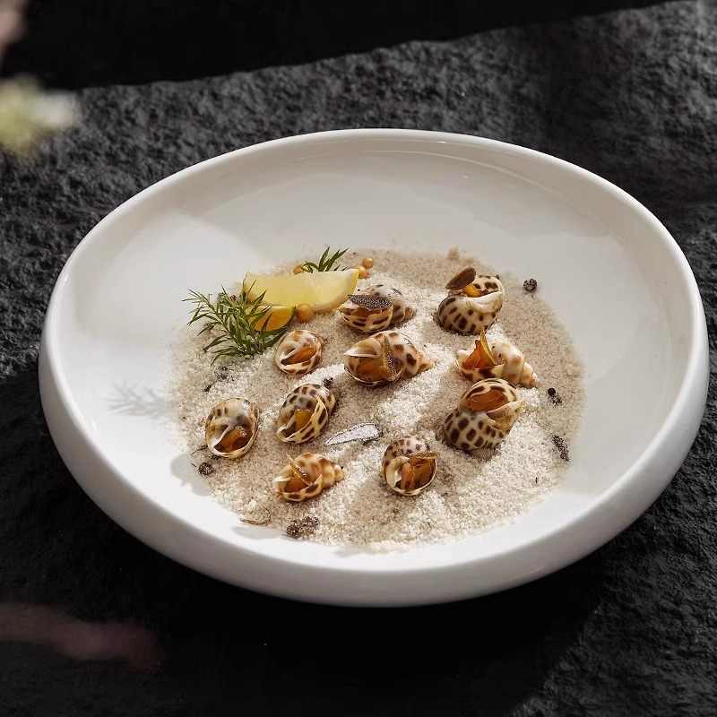 Irregular Household Special-shaped Plate